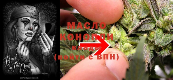 дмт Елабуга