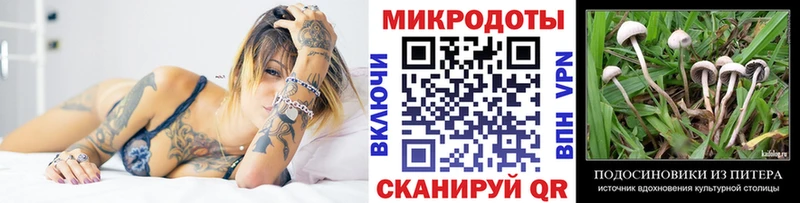 закладки  Светогорск  Галлюциногенные грибы MAGIC MUSHROOMS 